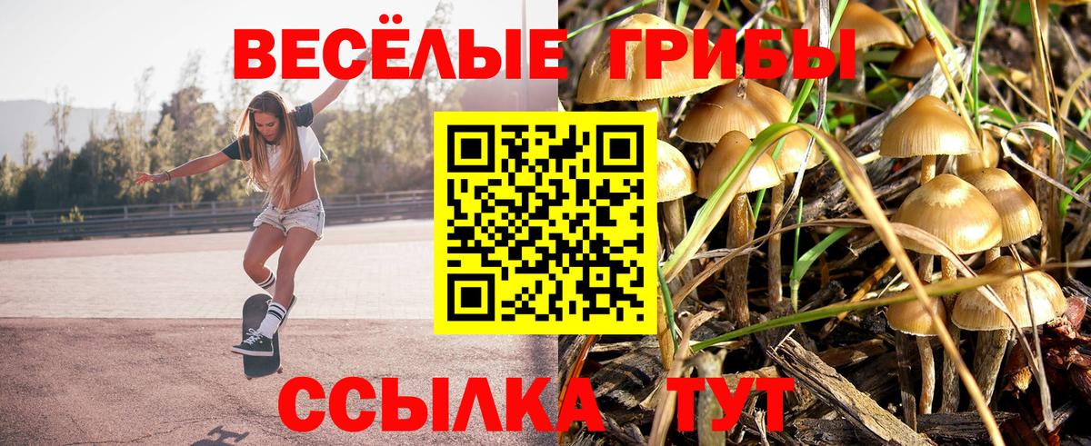 дарнет шоп  Вход с VPN  Сухой Лог  Галлюциногенные грибы MAGIC MUSHROOMS  Галлюциногенные грибы мицелий 
