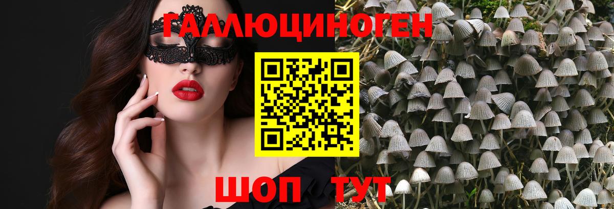 Галлюциногенные грибы мухоморы Сухой Лог